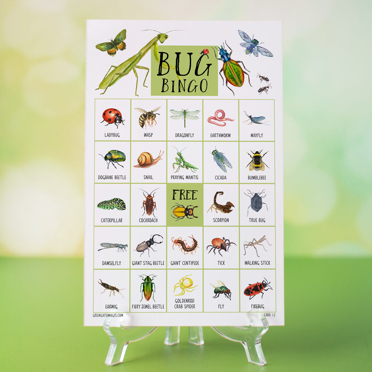 Bug Bingo – Greengate Images bug-bingo-greengate-images