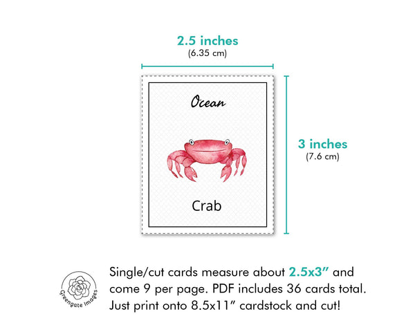 Ocean Memory Game - Printable Digital Download by Greengate Images