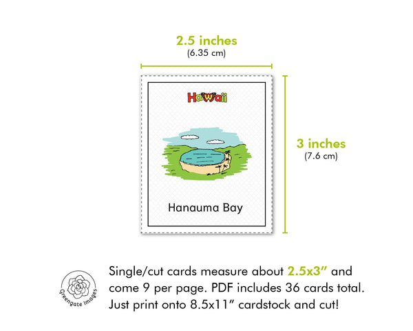 Hawaii Memory Game - Printable Digital Download by Greengate Images