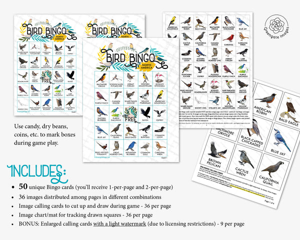 Bird Bingo - North American - Greengate Images