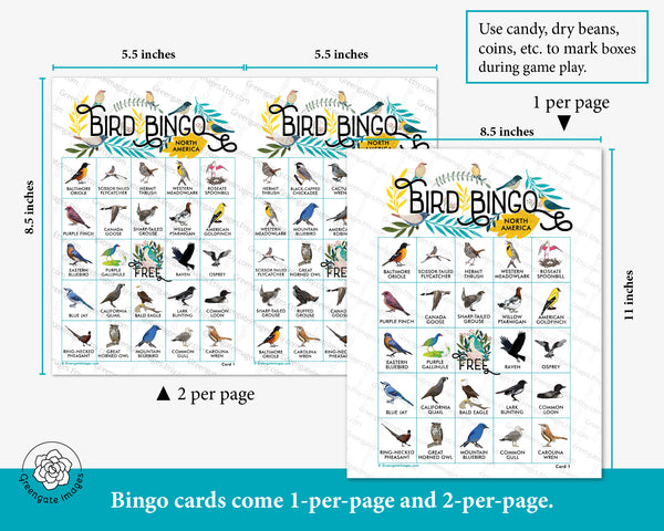 Bird Bingo - North American - Greengate Images