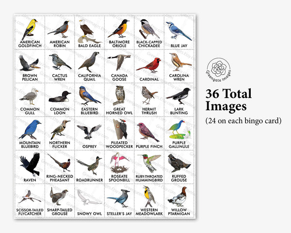 Bird Bingo - North American - Greengate Images