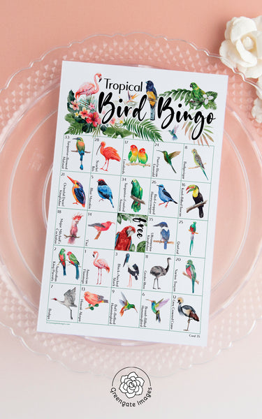 Tropical Bird Bingo - Greengate Images