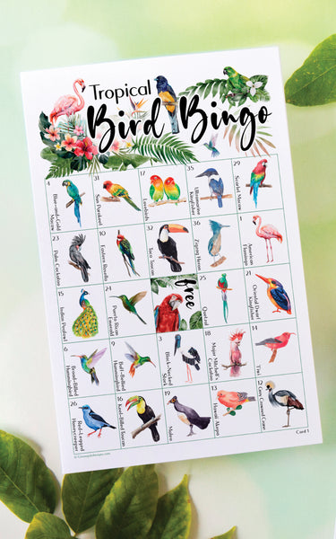 Tropical Bird Bingo - Greengate Images