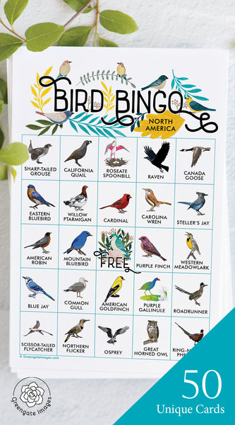 Bird Bingo - North American - Greengate Images