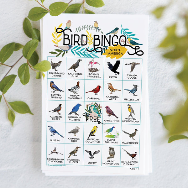 Bird Bingo - North American - Greengate Images