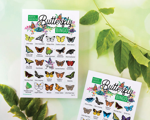 Butterfly Bingo - North American Species - Printable Digital Download by Greengate Images