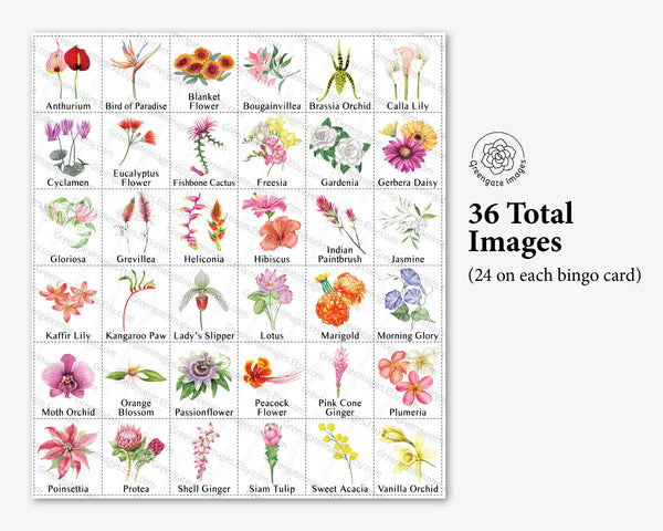 Tropical Flower Bingo - Printable Digital Download by Greengate Images