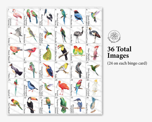 Tropical Bird Bingo - 50 PRINTABLE unique cards. Senior citizen activities, educational homeschooling, kids adult, exotic birds pet species.