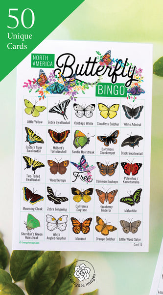 Butterfly Bingo - North American Species - Greengate Images