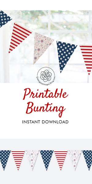 4th of July Banner - Stars, Stripes, and Fireworks - Greengate Images