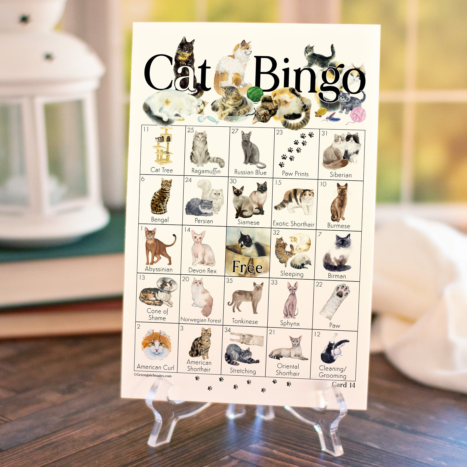 Cat Bingo - Printable Digital Download by Greengate Images