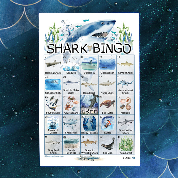 Shark Bingo