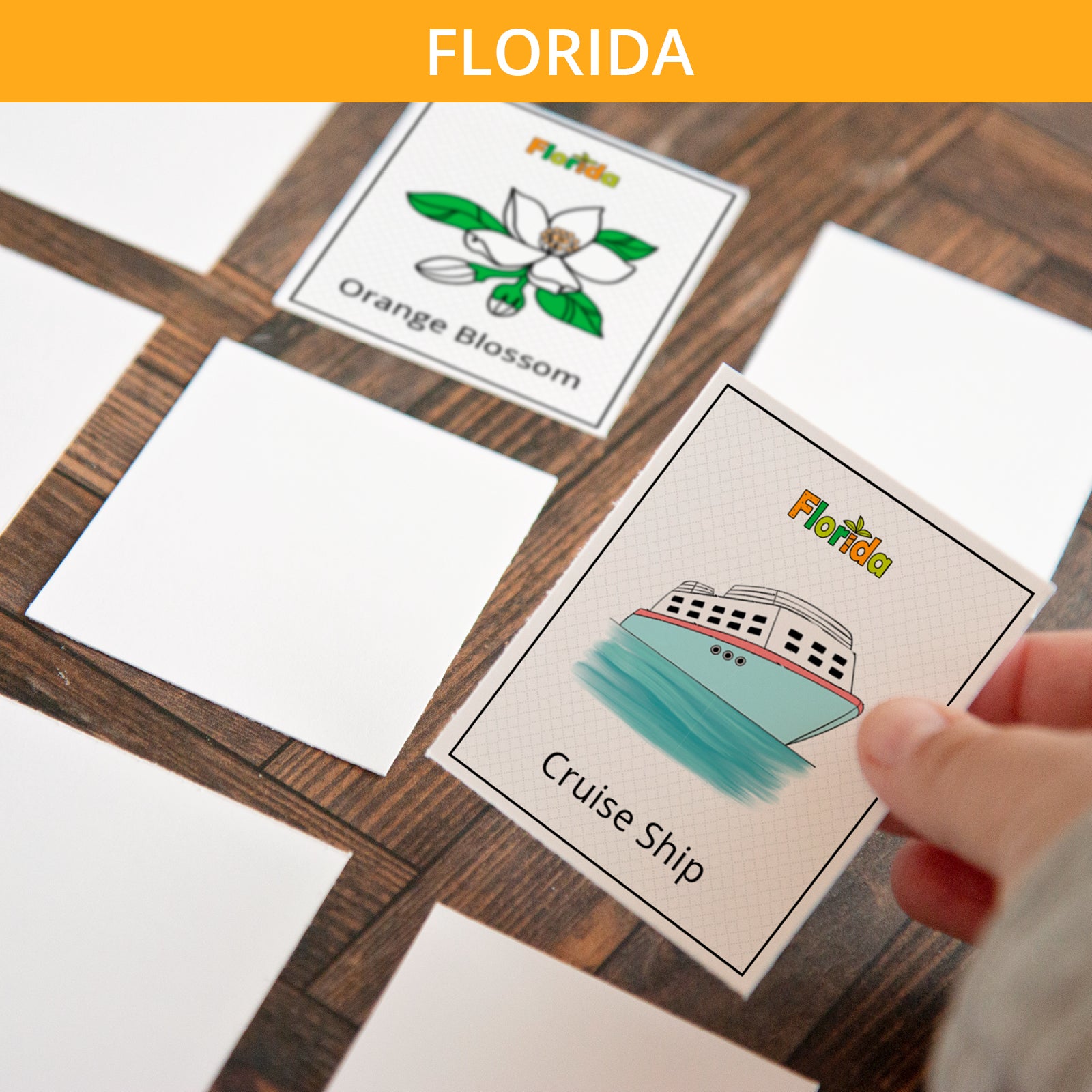 Florida Memory Game - Greengate Images