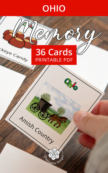 Ohio Memory Game - Printable Digital Download by Greengate Images