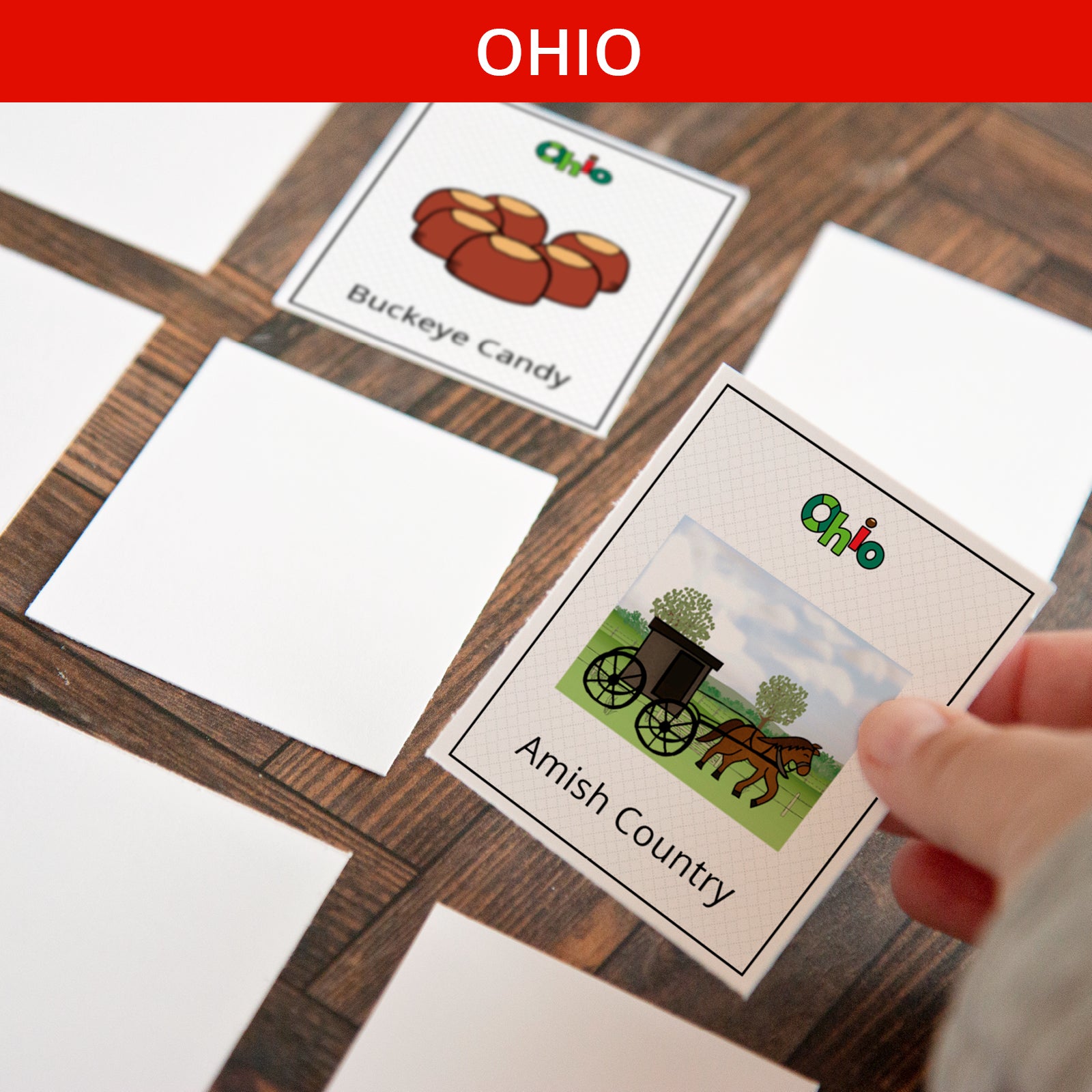 Ohio Memory Game - Printable Digital Download by Greengate Images