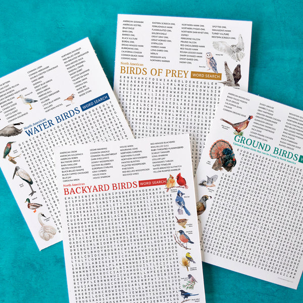 Bird Word Search Bundle - Greengate Images