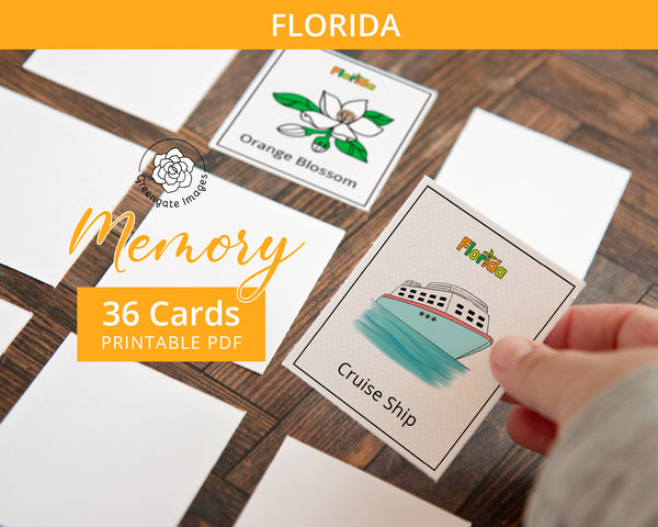 Florida Memory Game - PRINTABLE downloadable activity PDF. Matching game. 36 picture cards representing symbols & aspects of the US state.
