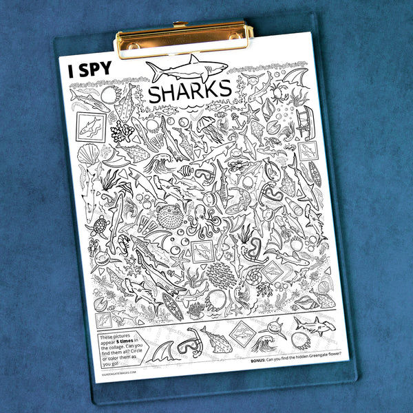 Sharks I Spy