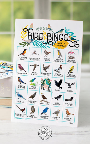Bird Bingo - North American