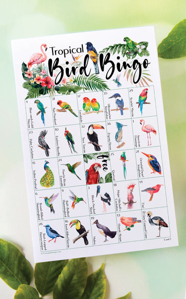 Tropical Bird Bingo
