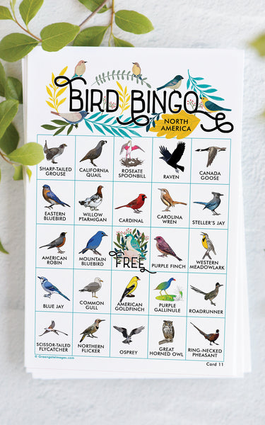 Bird Bingo - North American