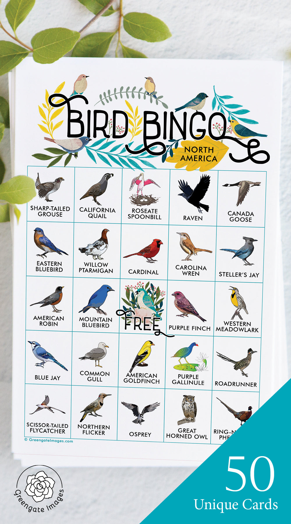 Bird Bingo - North American – Greengate Images for Free Printable Bird Bingo Cards