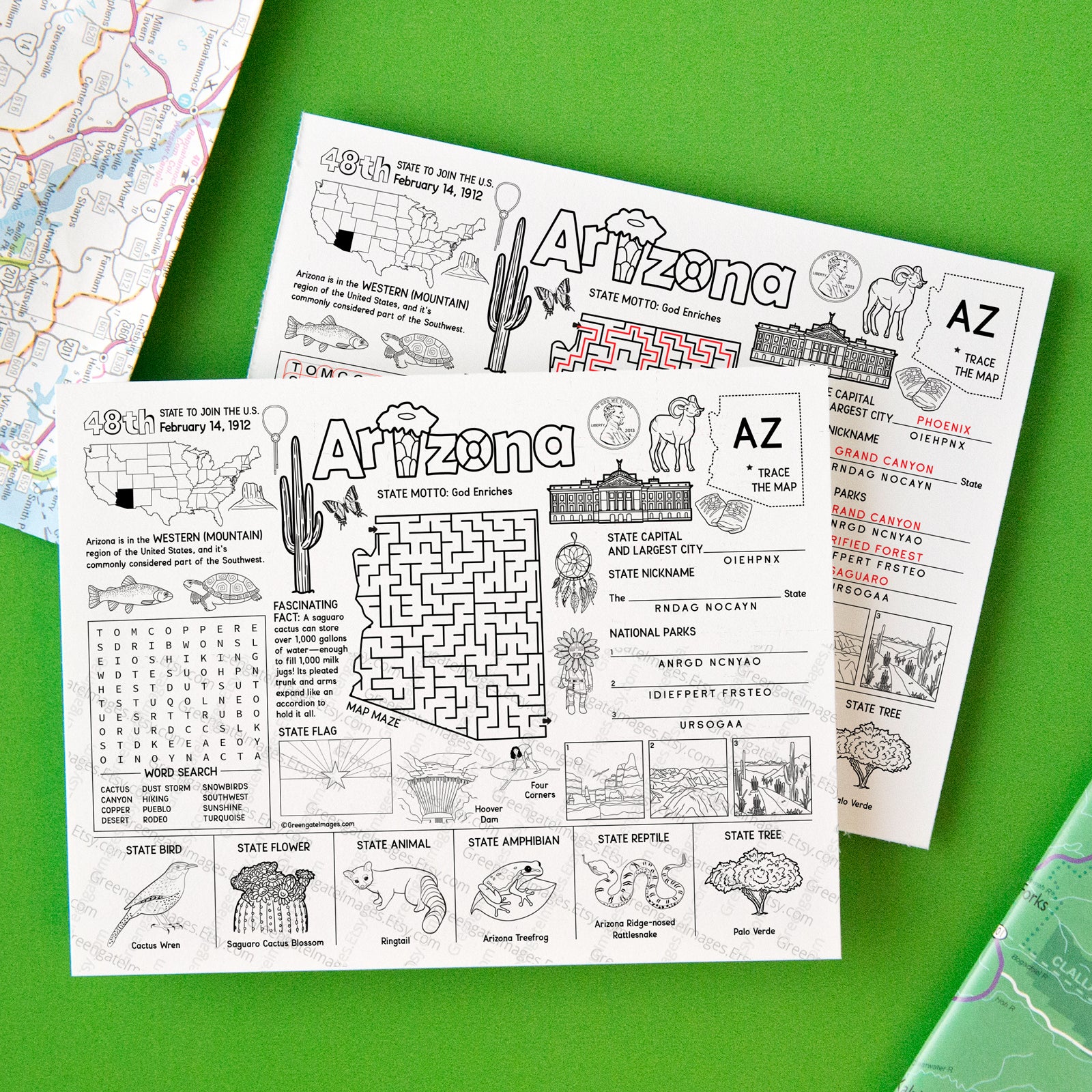 Arizona Activity Page - Printable Digital Download by Greengate Images
