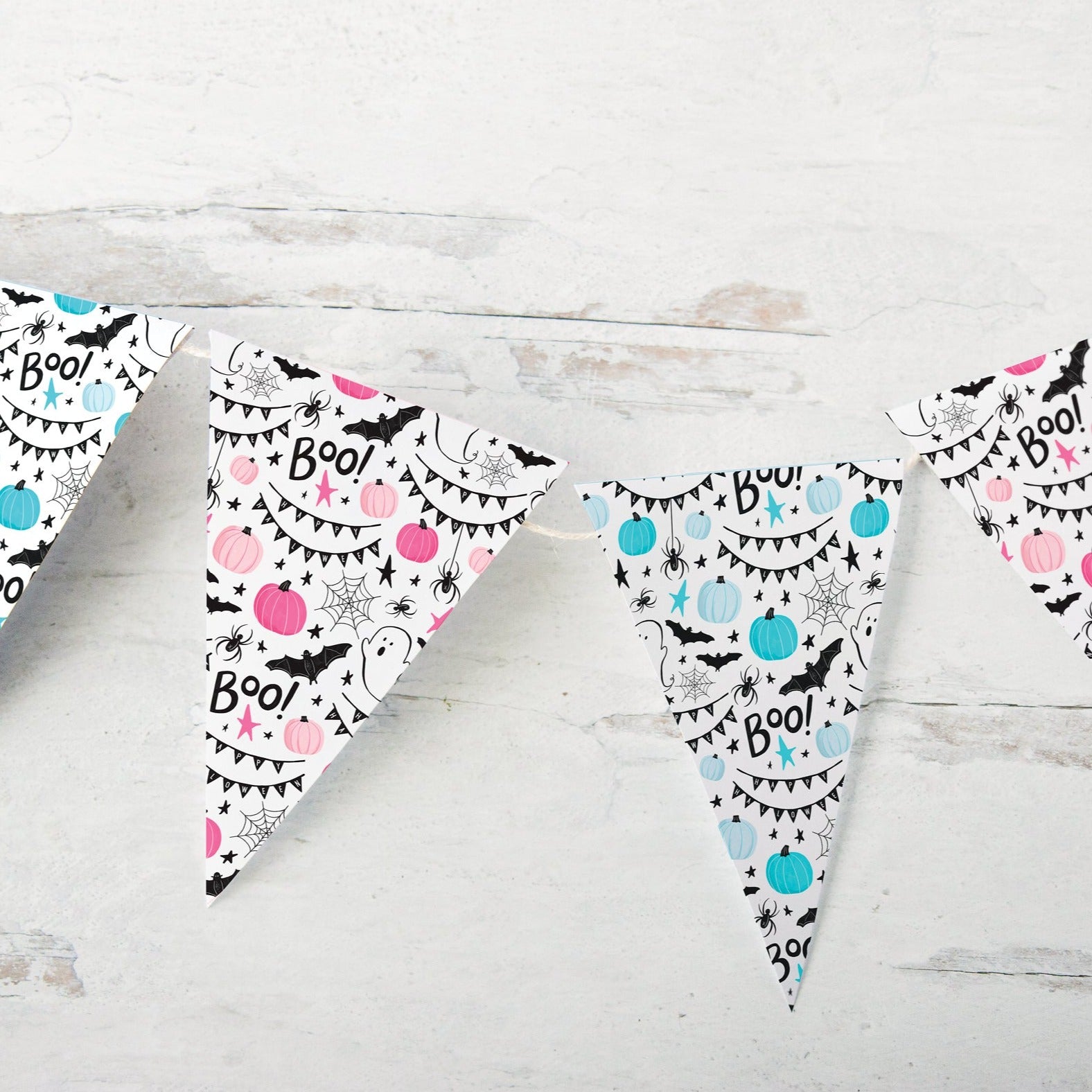 Pink and Blue Boo Halloween Bunting Duo