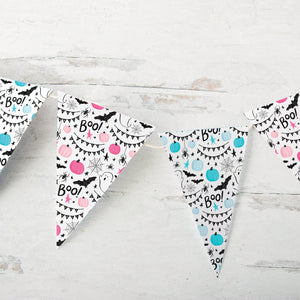 Pink and Blue Boo Halloween Bunting Duo