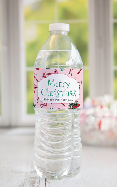 Christmas Flamingo Water Bottle Label Duo - Pink and Mint
