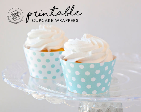 Aqua Polka Dot Cupcake Wrappers