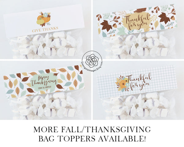 Thanksgiving / Fall Bag Toppers 