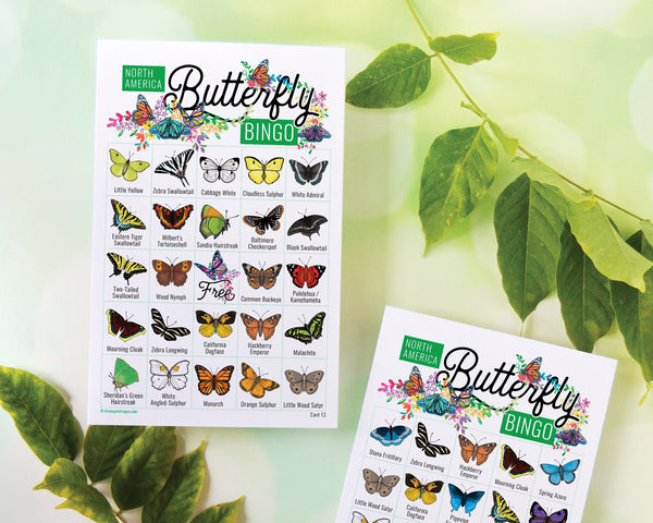Butterfly Bingo - 50 PRINTABLE unique cards. Instant digital download PDF. Labeled pictures of 36 different species found in North America.
