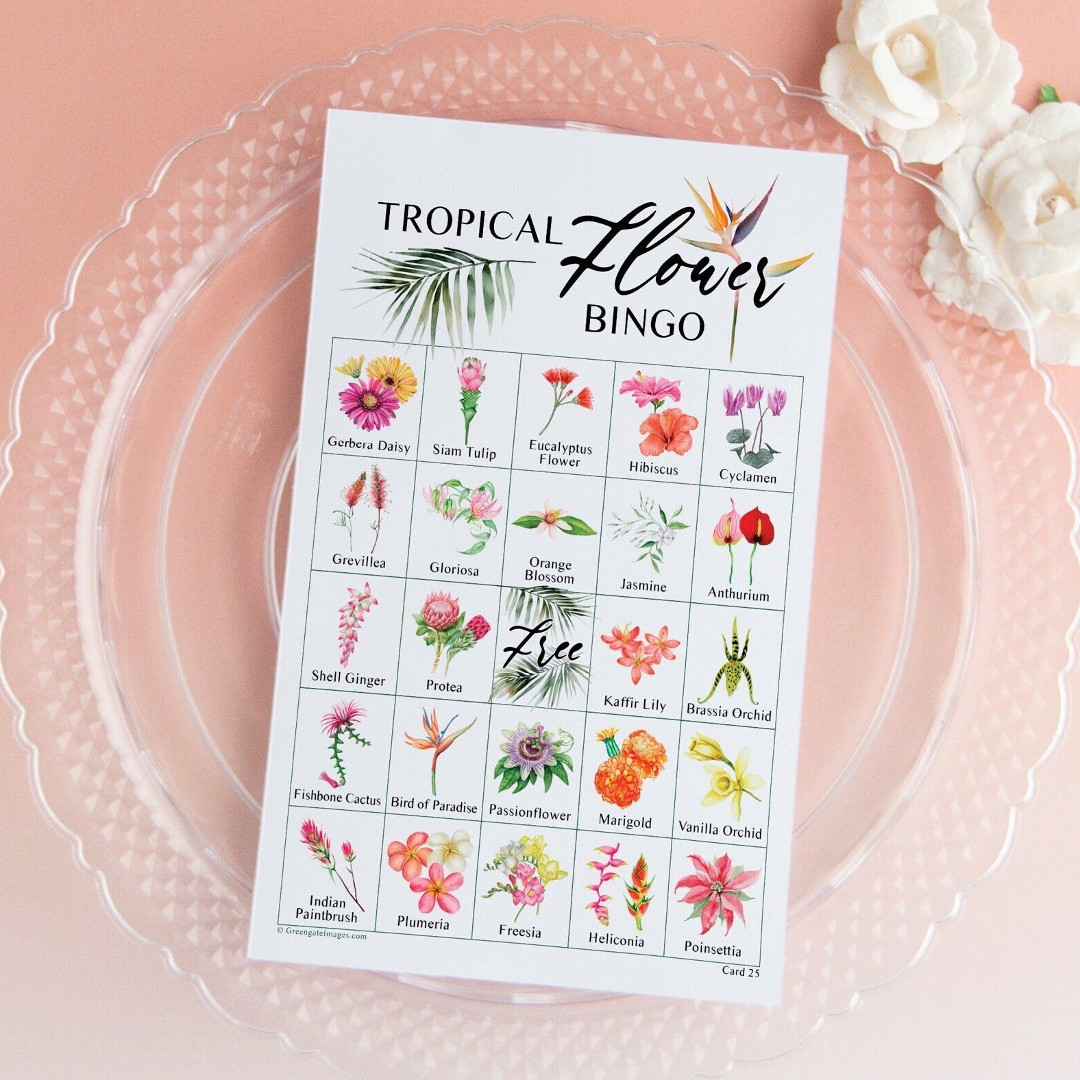 Tropical Flower Bingo - 50 PRINTABLE unique cards. Instant digital download PDF. Labeled pictures of 36 different species tropical flowers.