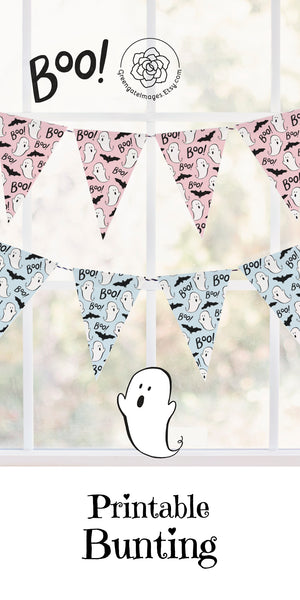 Pink and Blue Ghost Bunting Set